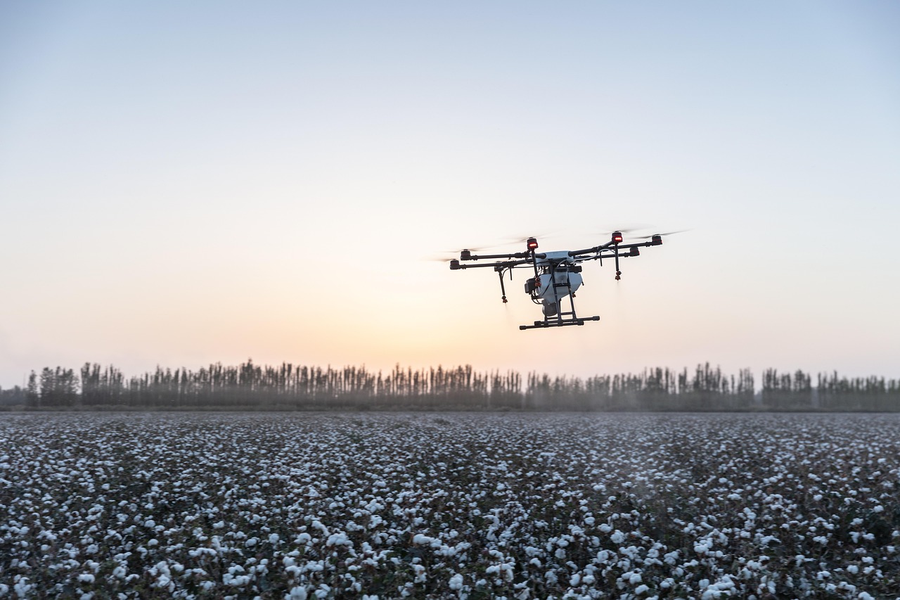 遵义注册代理公司