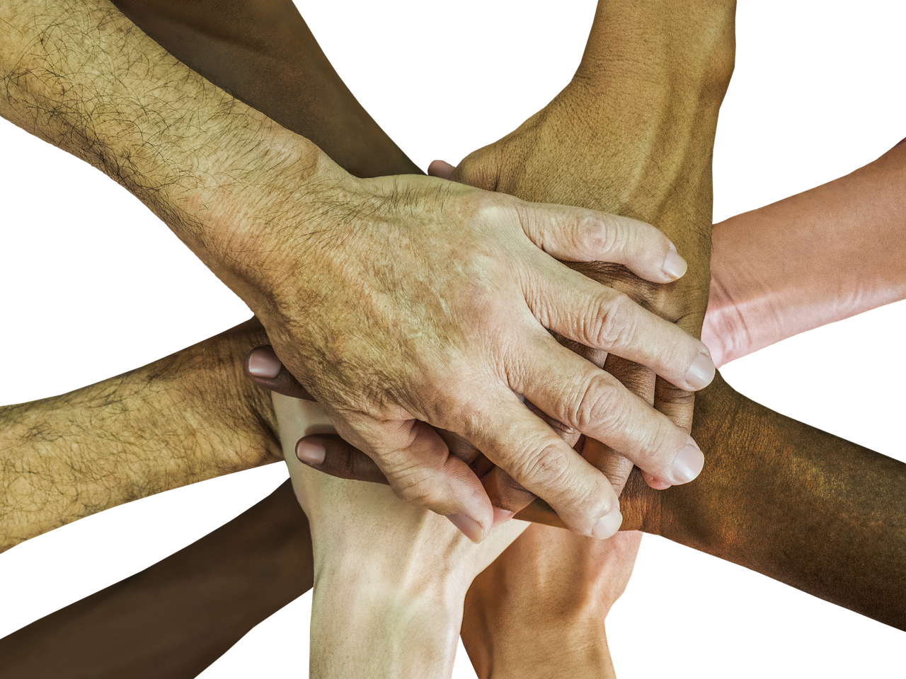 快代理ip实名账号：app详情下载教程数字信用