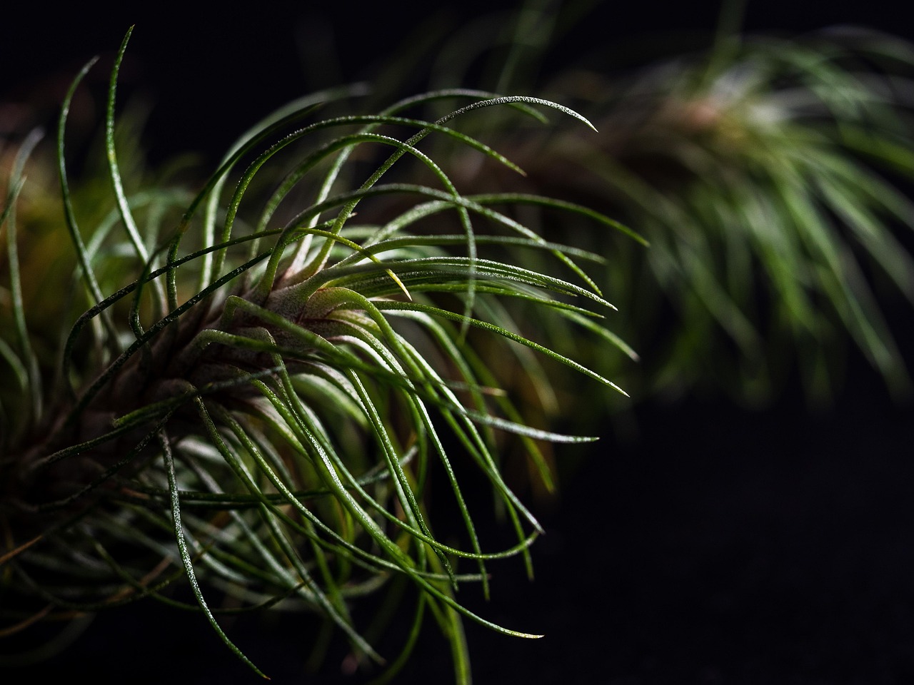 丽晶国际实名账号：2016手机淘宝注册账号