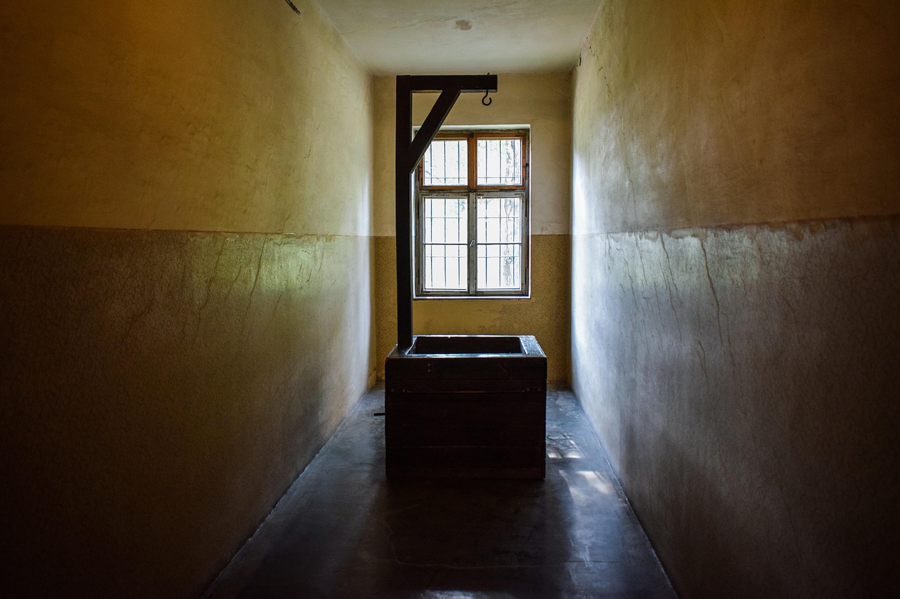 万泰姜子牙app官方详情下载教程