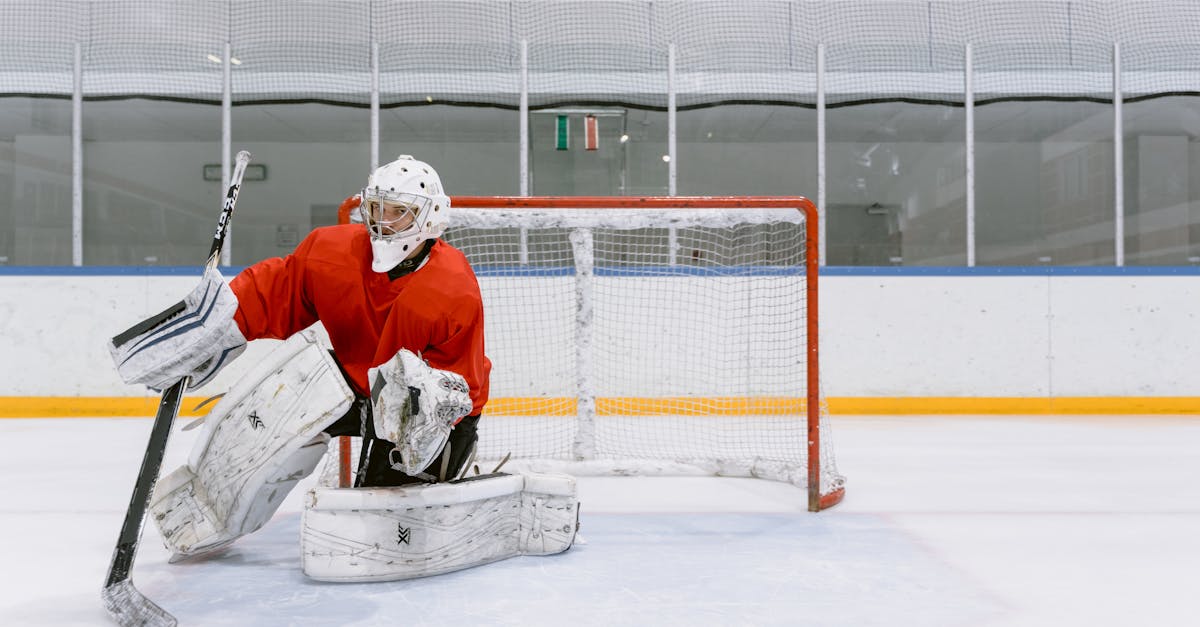 闲鱼实名账号：肇庆狗狗购买平台