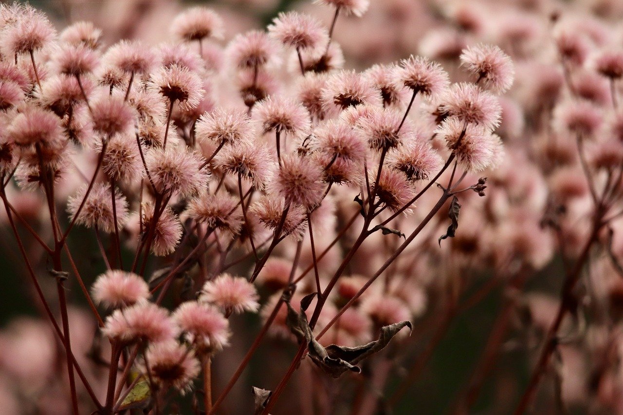 淘宝网注册支付宝账号