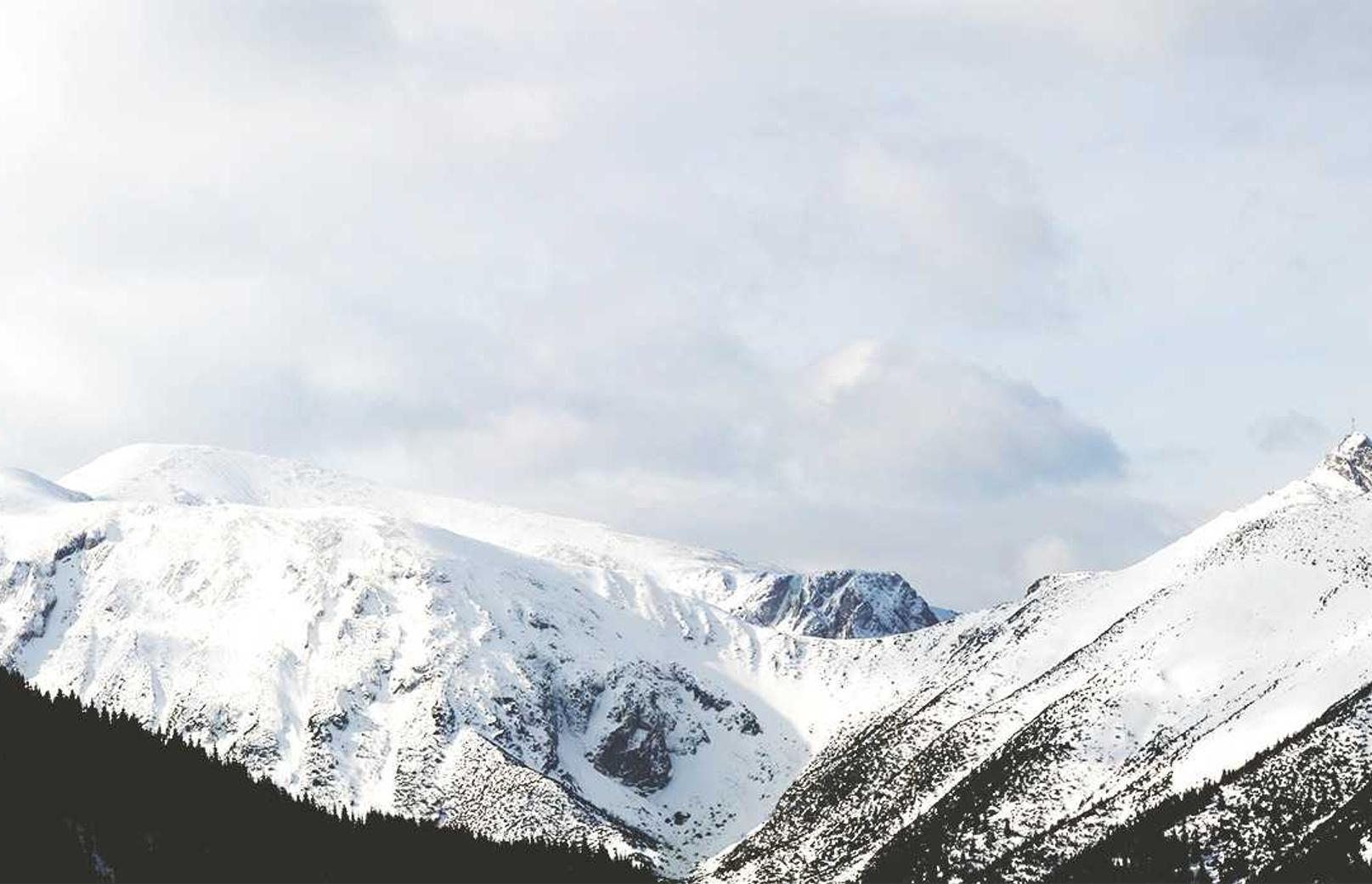滴滴车主app详情下载教程