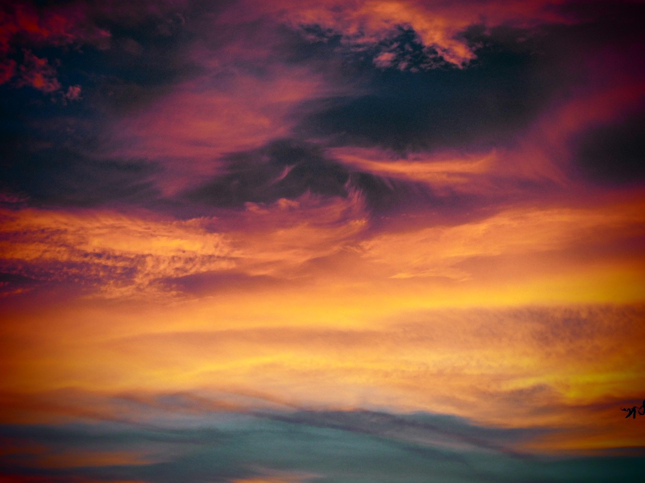 民生通讯实名账号：新城观app详情下载教程