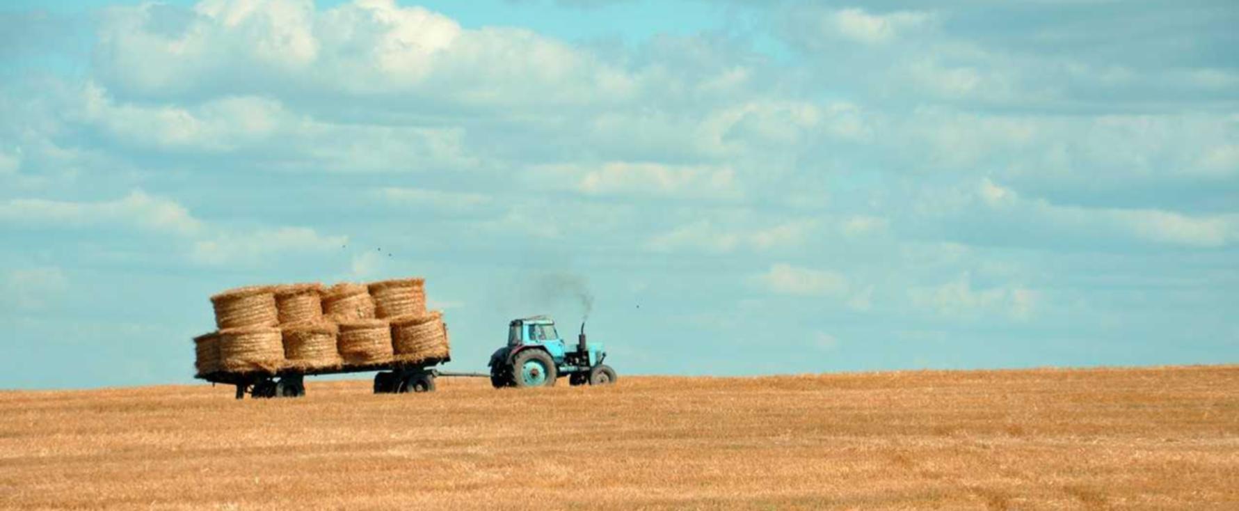蓝梅花王：高炮app系列详情下载教程