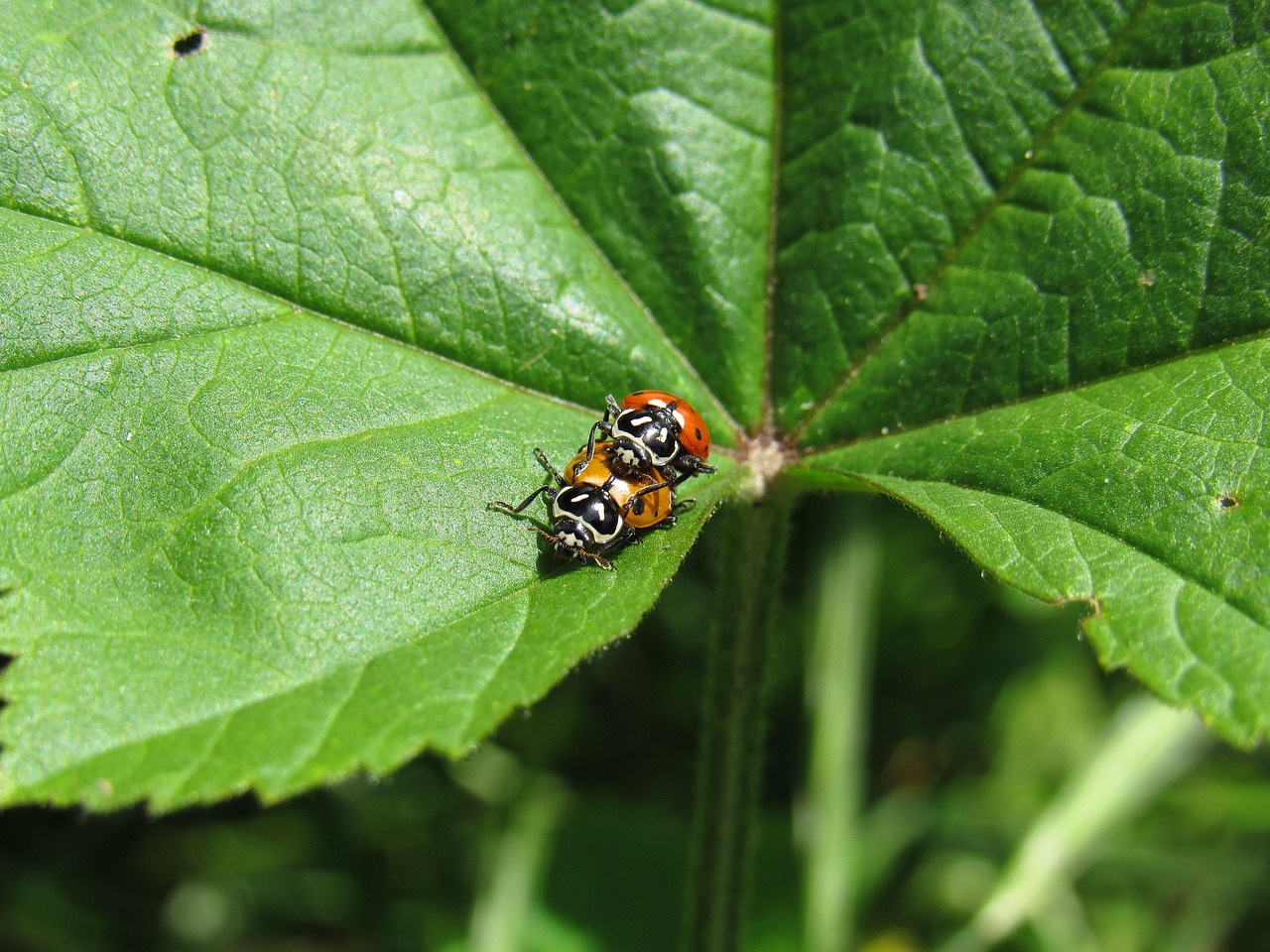 治疗吸「香烟」成瘾行为的现有方法