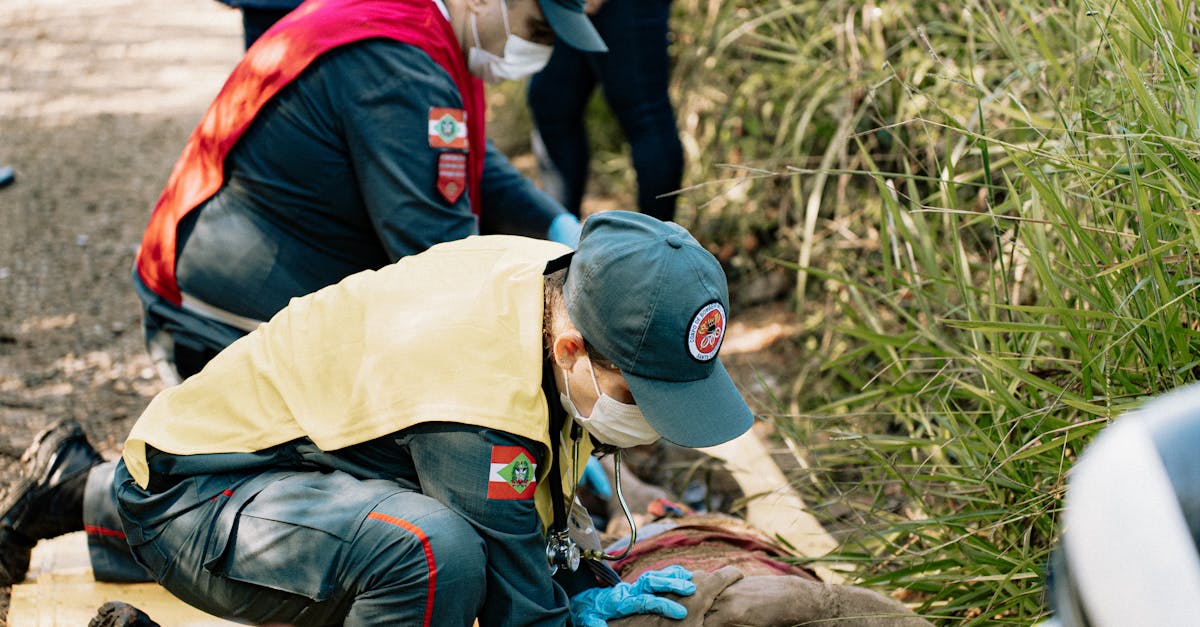 代理注册公司收费明细查询